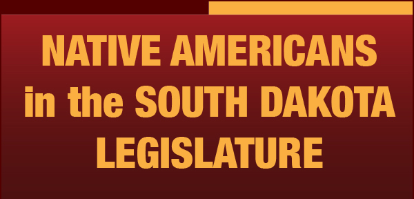 Native Americans in the South Dakota Legislature: Infographic